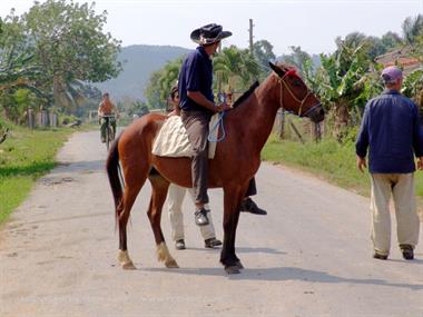 2004 Cuba, Maria la Gorda - Cayo Levisa, DSC00609 B_B720